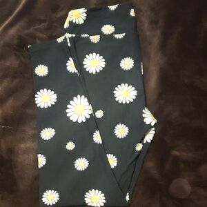 Lularoe OS Leggings